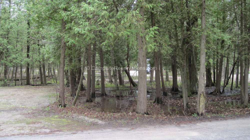 Photo Of Campsite 21 In Daisy Field South Campground At Potawatomi ...